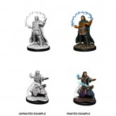 Male Human Wizard - D&D Nolzur's Marvelous Miniatures - W11