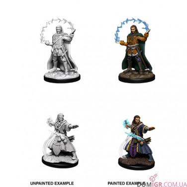Male Human Wizard - D&D Nolzur's Marvelous Miniatures - W11