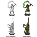 Female Firbolg Druid - D&D Nolzur's Marvelous Miniatures - W13