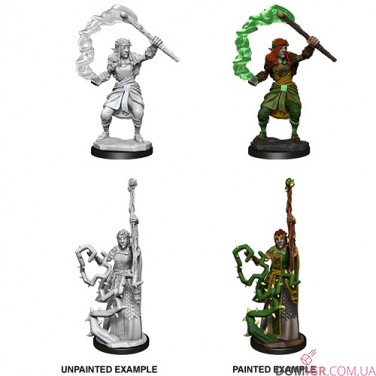 Female Firbolg Druid - D&D Nolzur's Marvelous Miniatures - W13