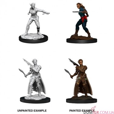 Female Shifter Rogue - D&D Nolzur's Marvelous Miniatures - W13
