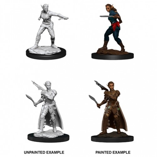 Female Shifter Rogue - D&D Nolzur's Marvelous Miniatures - W13