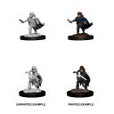 Male Halfling Rogue - D&D Nolzur's Marvelous Miniatures - W13