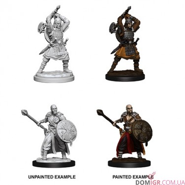 Male Human Barbarian - D&D Nolzur's Marvelous Miniatures - W13