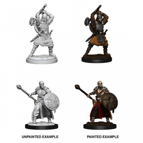 Male Human Barbarian - D&D Nolzur's Marvelous Miniatures - W13