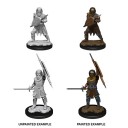 Male Human Fighter - D&D Nolzur's Marvelous Miniatures - W13