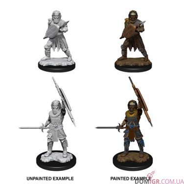 Male Human Fighter - D&D Nolzur's Marvelous Miniatures - W13