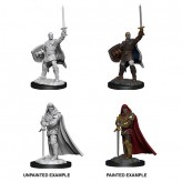 Male Human Paladin - D&D Nolzur's Marvelous Miniatures - W13