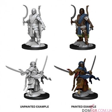Male Human Ranger - D&D Nolzur's Marvelous Miniatures - W13