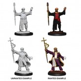 Male Human Wizard - D&D Nolzur's Marvelous Miniatures - W13