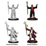 Male Human Wizard - D&D Nolzur's Marvelous Miniatures - W13