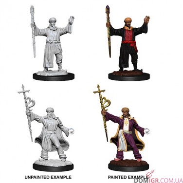 Male Human Wizard - D&D Nolzur's Marvelous Miniatures - W13