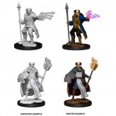 Multiclass Male Cleric + Wizard - D&D Nolzur's Marvelous Miniatures - W13
