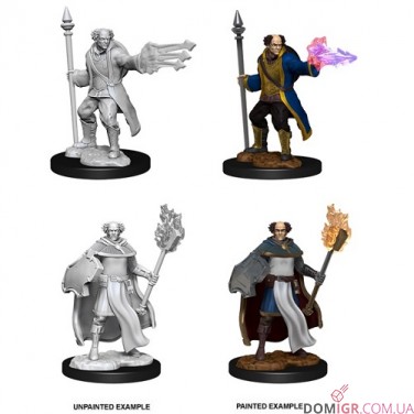 Multiclass Male Cleric + Wizard - D&D Nolzur's Marvelous Miniatures - W13