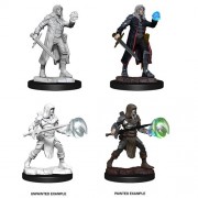 Multiclass Male Fighter + Wizard - D&D Nolzur's Marvelous Miniatures - W13