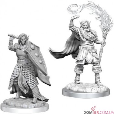 Male Elf Cleric - D&D Nolzur's Marvelous Miniatures - W16