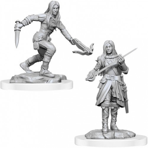 Female Half-Elf Rogues - D&D Nolzur's Marvelous Miniatures - W17