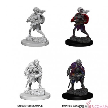 Drow - D&D Nolzur's Marvelous Miniatures - W4