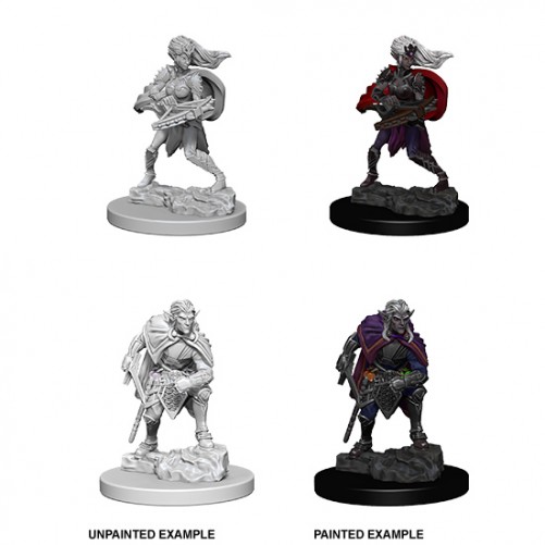 Drow - D&D Nolzur's Marvelous Miniatures - W4