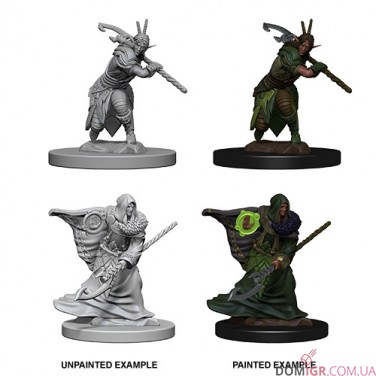 Male Elf Druid - D&D Nolzur's Marvelous Miniatures - W4