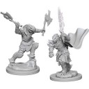 Female Dragonborn Fighter - D&D Nolzur's Marvelous Miniatures - W4