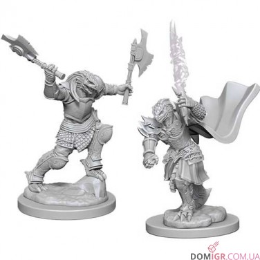 Female Dragonborn Fighter - D&D Nolzur's Marvelous Miniatures - W4