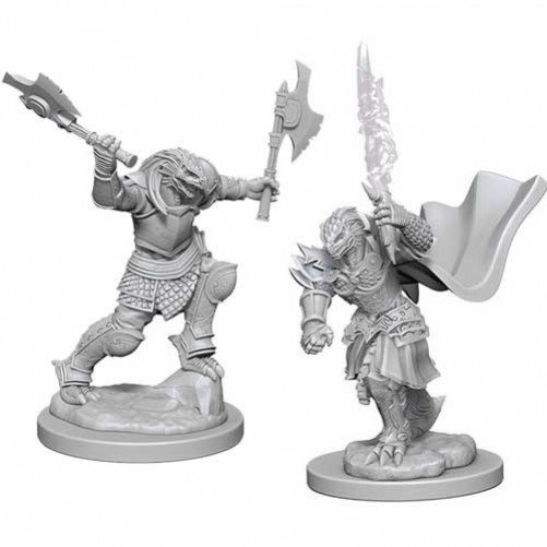 Female Dragonborn Fighter - D&D Nolzur's Marvelous Miniatures - W4