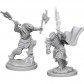 Female Dragonborn Fighter - D&D Nolzur's Marvelous Miniatures - W4