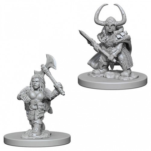 Female Dwarf Barbarian - D&D Nolzur's Marvelous Miniatures - W4