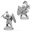 Male Dragonborn Paladin - D&D Nolzur's Marvelous Miniatures - W4