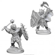 Male Dragonborn Paladin - D&D Nolzur's Marvelous Miniatures - W4