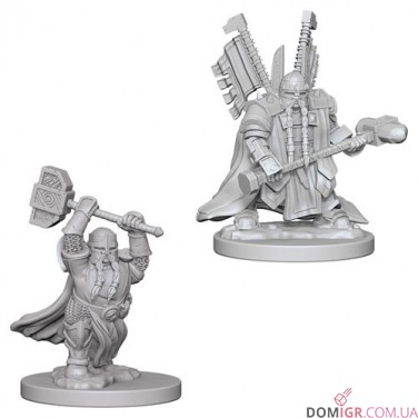 Male Dwarf Paladin - D&D Nolzur's Marvelous Miniatures - W4