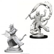 Male Tiefling Sorcerer  - D&D Nolzur's Marvelous Miniatures - W4
