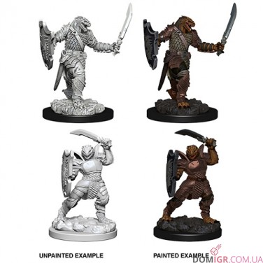 Female Dragonborn Paladin - D&D Nolzur's Marvelous Miniatures - W5