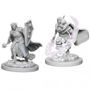 Male Elf Cleric - D&D Nolzur's Marvelous Miniatures - W5