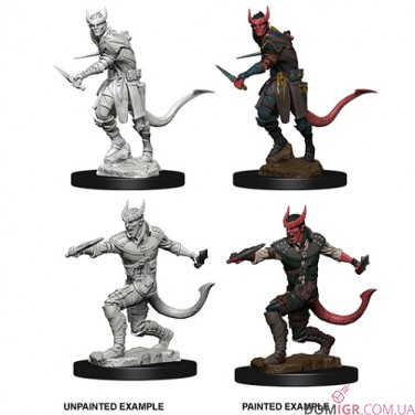 Male Tiefling Rogue - D&D Nolzur's Marvelous Miniatures - W5