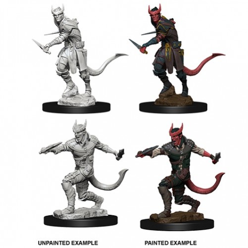 Male Tiefling Rogue - D&D Nolzur's Marvelous Miniatures - W5