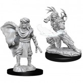 Male Human Druid - D&D Nolzur's Marvelous Miniatures - W6
