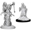 Green Hag & Night Hag - D&D Nolzur's Marvelous Miniatures - W6