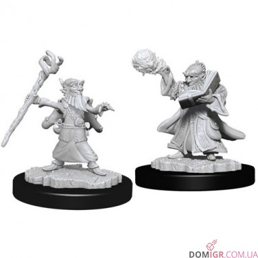 Male Gnome Wizard - D&D Nolzur's Marvelous Miniatures - W6
