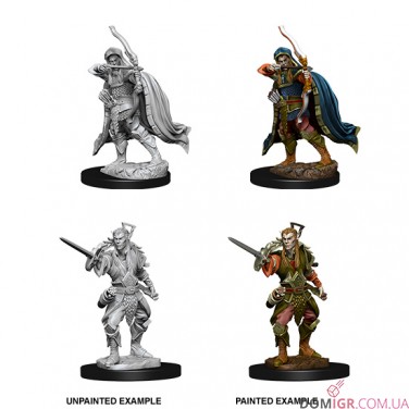 Male Elf Rogue - D&D Nolzur's Marvelous Miniatures - W7