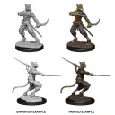 Male Tabaxi Rogue - D&D Nolzur's Marvelous Miniatures - W7