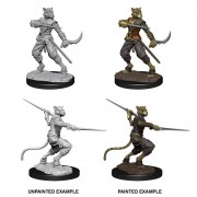 Male Tabaxi Rogue - D&D Nolzur's Marvelous Miniatures - W7