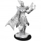 Cloud Giant - D&D Nolzur's Marvelous Miniatures - W8