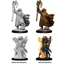 Female Dragonborn Sorcerer - D&D Nolzur's Marvelous Miniatures - W8