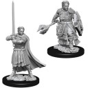 Male Human Cleric - D&D Nolzur's Marvelous Miniatures - W8