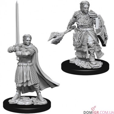 Купити Male Human Cleric - D&D Nolzur's Marvelous Miniatures - W8 Male Human Cleric - D&D Nolzur's Marvelous Miniatures - W8
