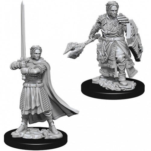Male Human Cleric - D&D Nolzur's Marvelous Miniatures - W8