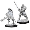 Male Human Fighter - D&D Nolzur's Marvelous Miniatures - W8