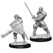 Male Human Fighter - D&D Nolzur's Marvelous Miniatures - W8